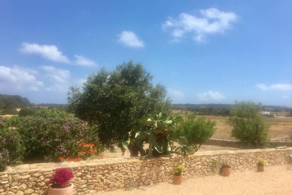 Casa Rural Es Cap De Barbaria San Francisco Javier Екстериор снимка