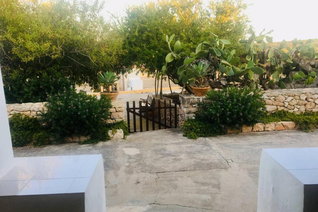 Casa Rural Es Cap De Barbaria San Francisco Javier Екстериор снимка