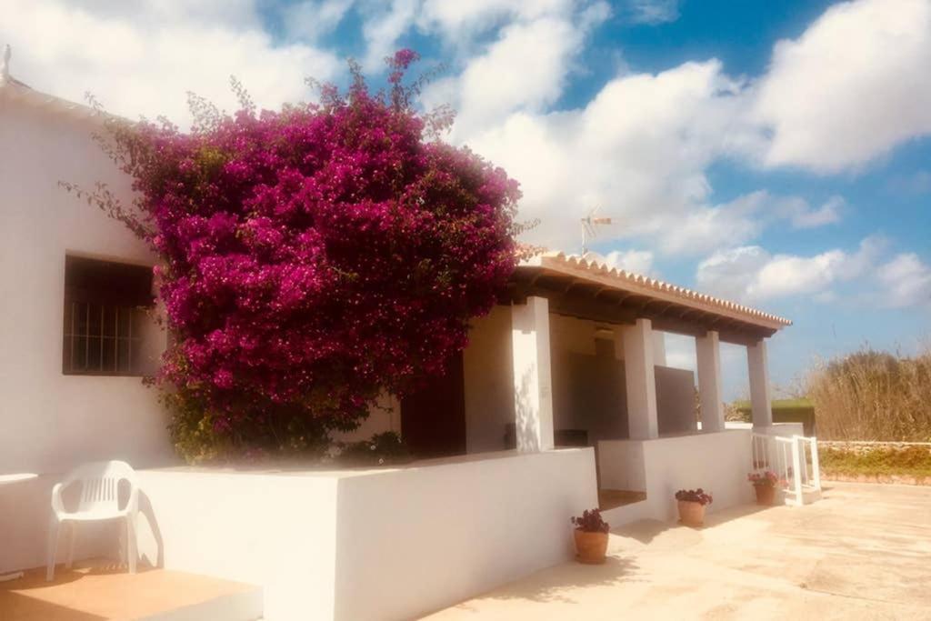 Casa Rural Es Cap De Barbaria San Francisco Javier Екстериор снимка