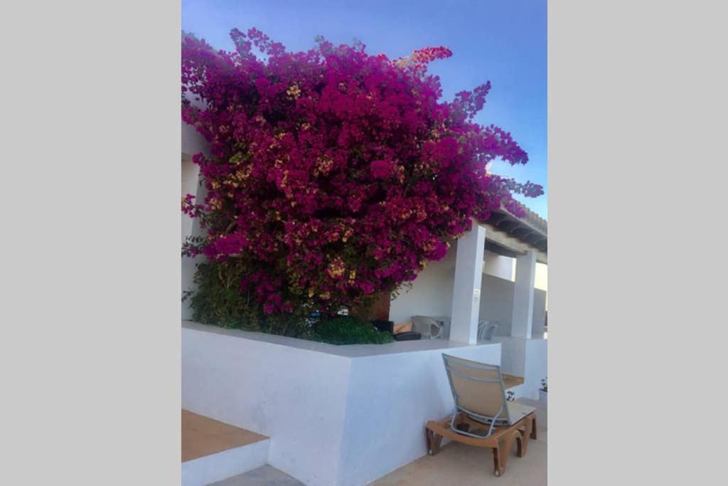 Casa Rural Es Cap De Barbaria San Francisco Javier Екстериор снимка